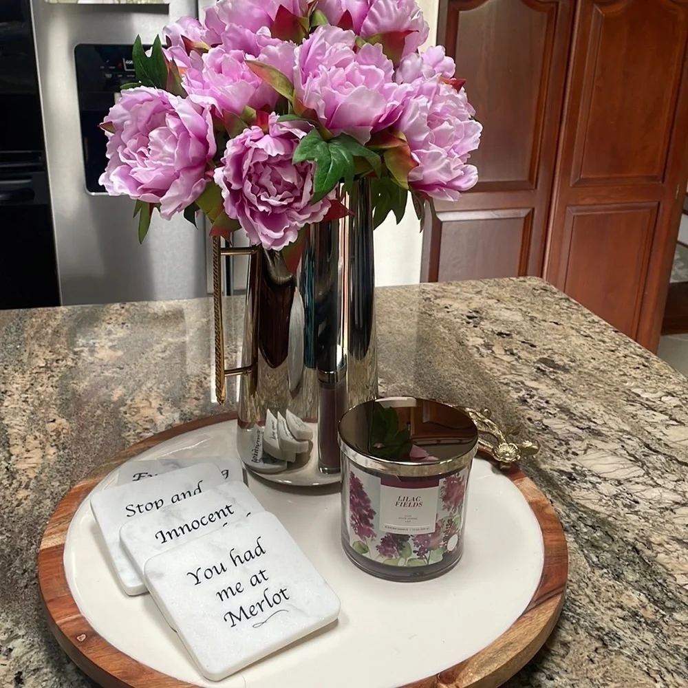 SOLID MARBEL COASTERS WINE lovers theme fun sayings nature stone set of 4 boxed